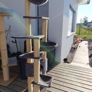 Cat scratching post to give away