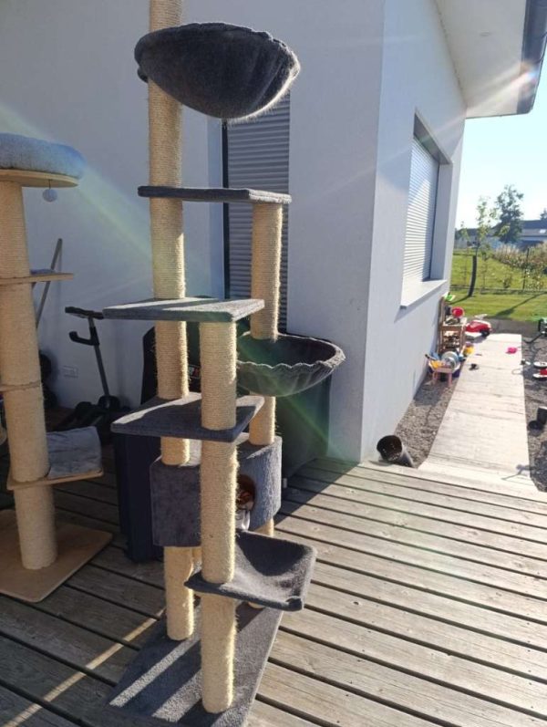 Cat scratching post to give away