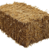Hay