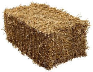 Hay