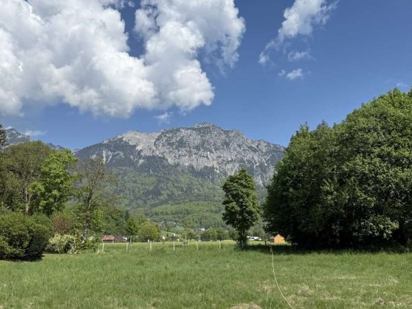 Land for sale: There are many possibilities: exclusive living, multi-generational house or property for development!